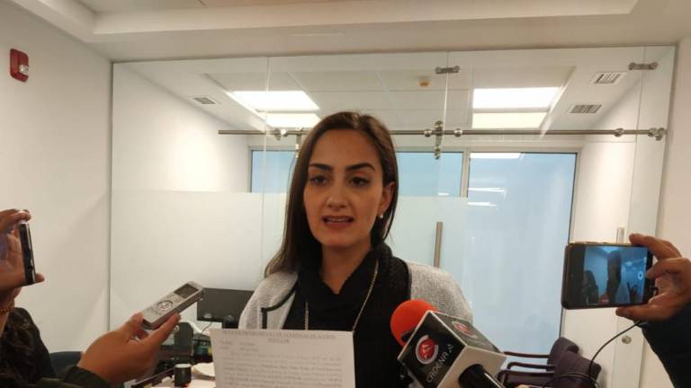 luisa nayar diputada cc