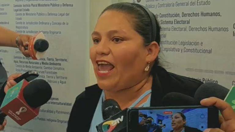 La diputada del MAS, Deisy Choque. Captura de video