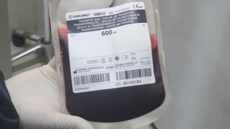 PALQUETA DE SANGRE