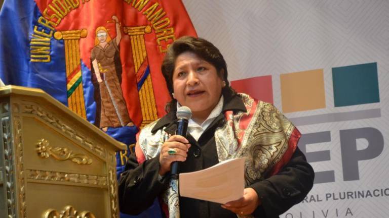 DINA CHUQUIMIA