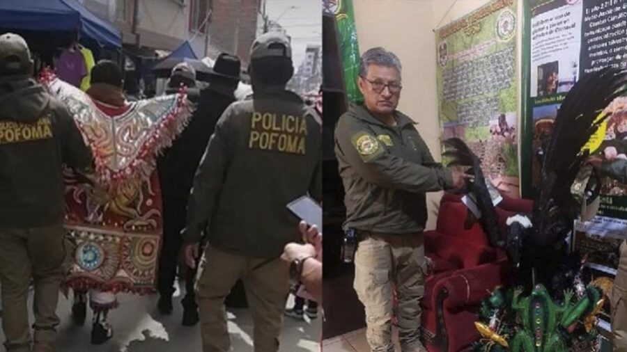 Persona arrestada por portar alas de cóndor disecadas