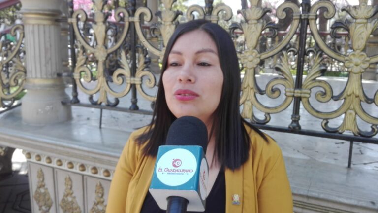 VIVIANA APARICIO DIPUTADA MAS