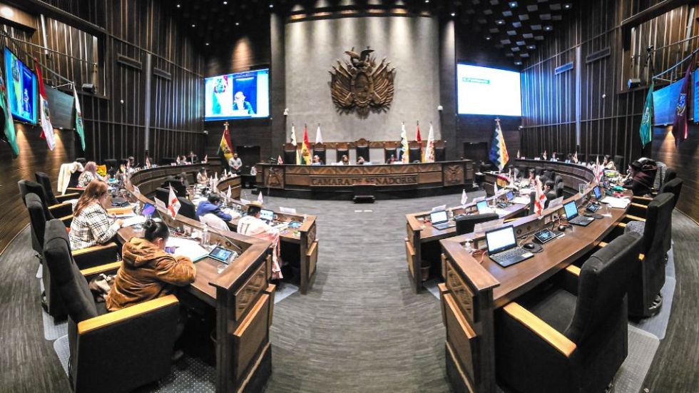 ASAMBLEA PLURINACIONAL DE PAZ-LARA
