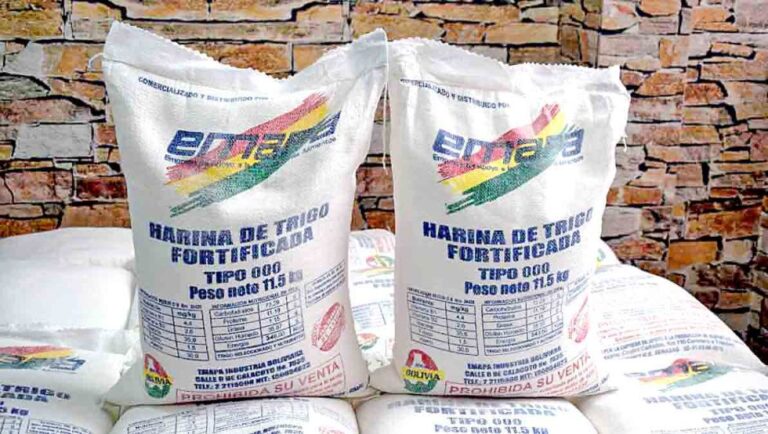 HARINA DE EMAPA 2