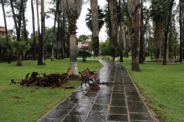 parque-oscar-alfaro