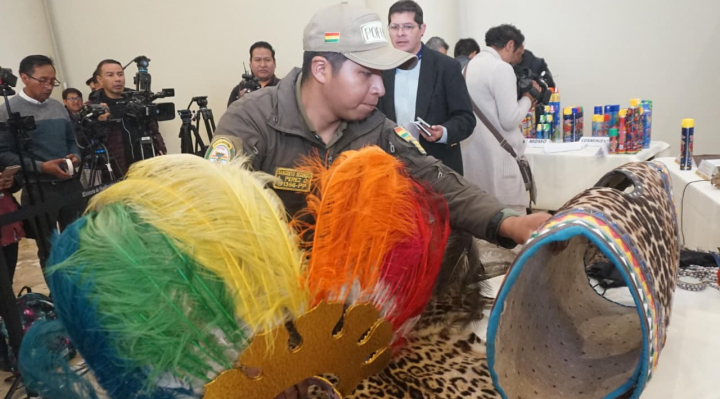 b_57107_carnaval-pofoma-recuerda-que-uso-de-animales-en-trajes-esta-penado-con-hasta-8-anos-1