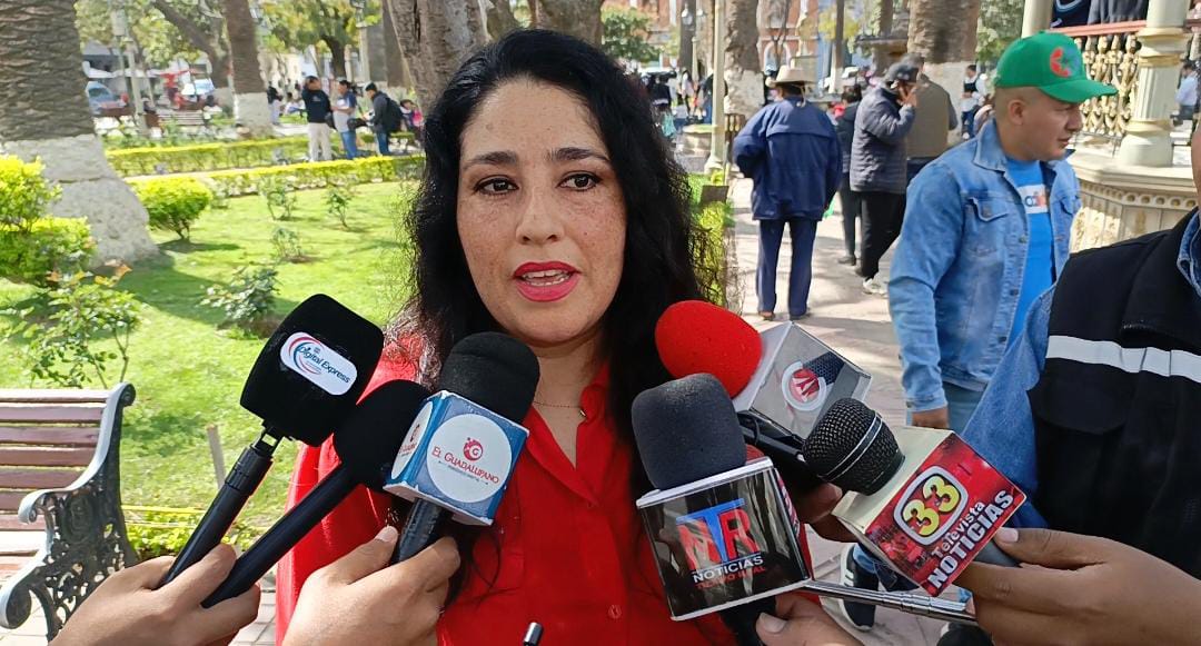 GABRIELA PACELLO DIPUTADA