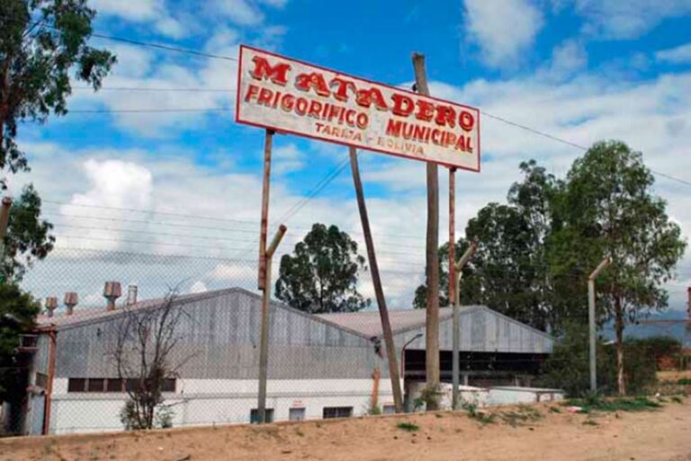 matadero municipal de tarija
