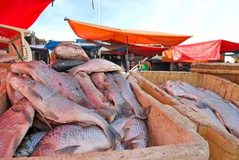 Pescado-Tarija